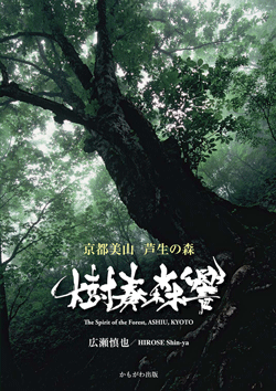 京都美山・芦生の森　樹奏森響