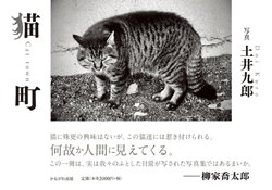 猫町