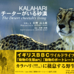 KALAHARI